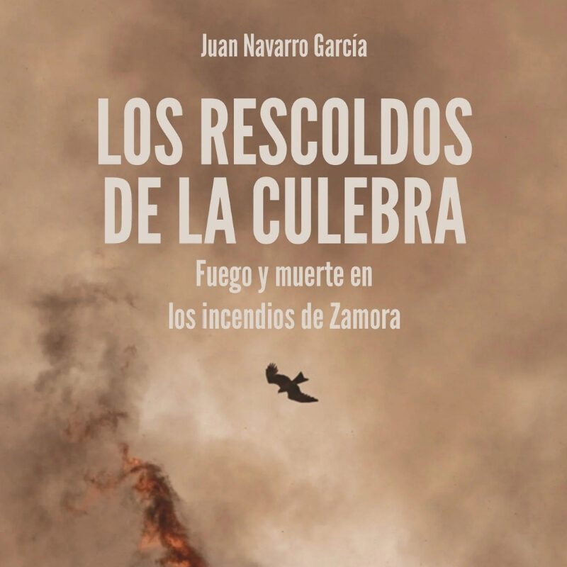 libro juan navarro