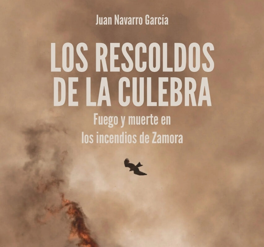 libro juan navarro
